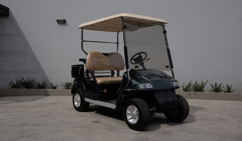 Carro de Golf EAGLE EG2028K10 full